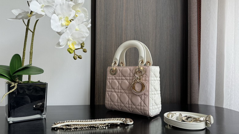 Dior 6603 17cm wz3_7